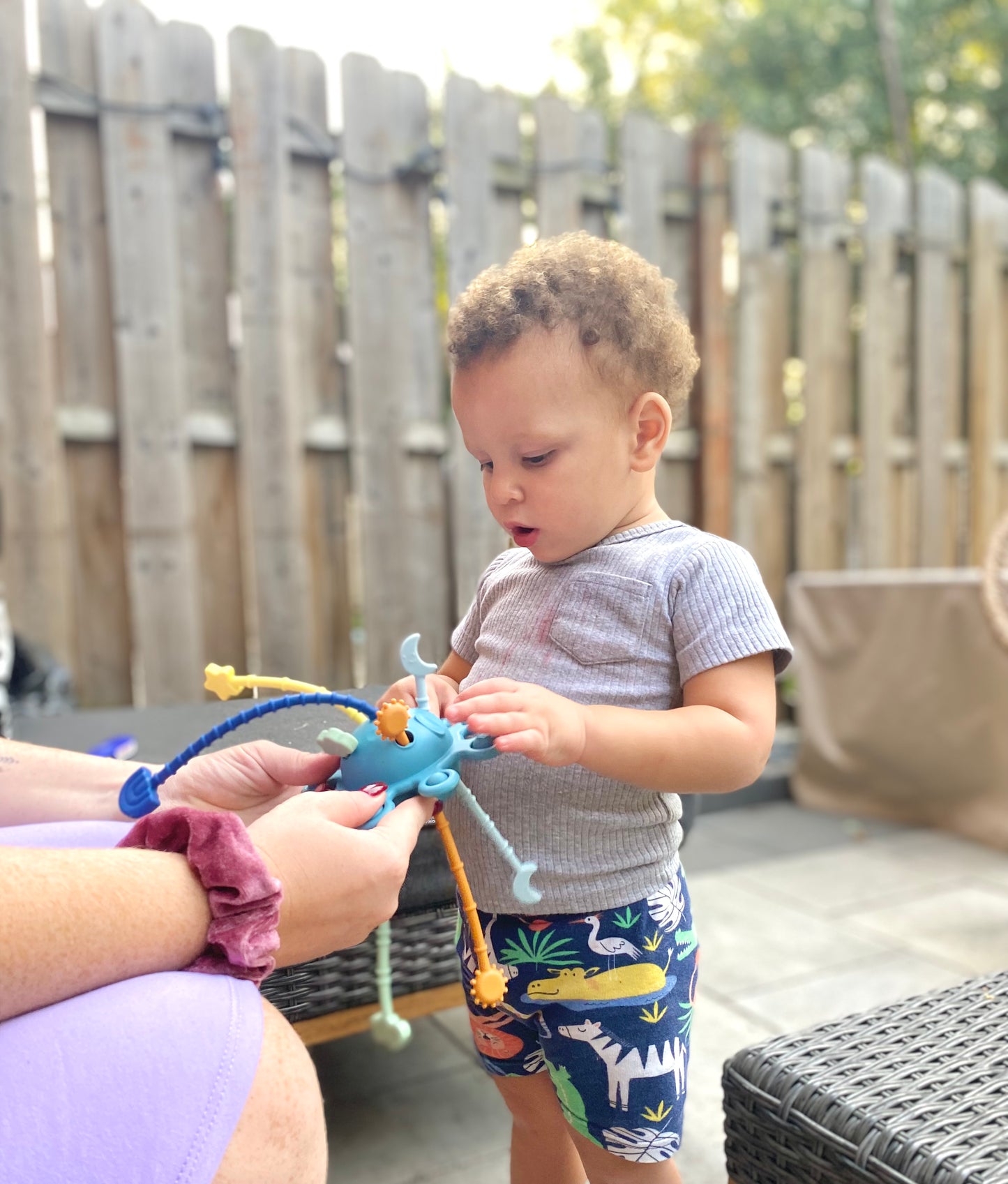 Montessori Style Pulling Toy