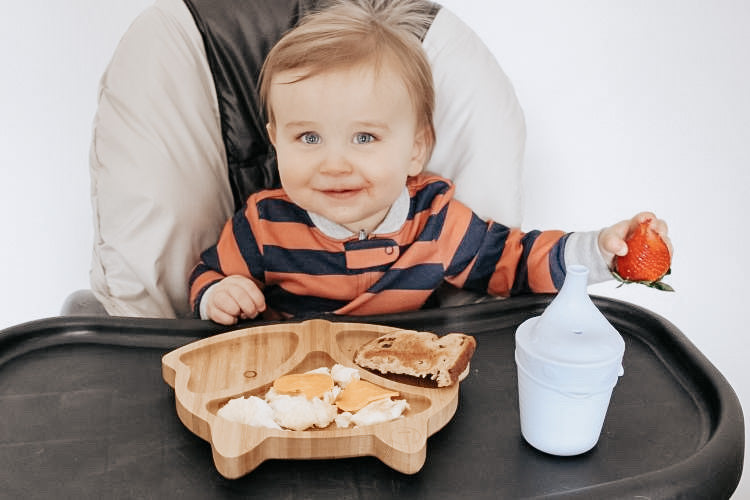 Infant plates deals